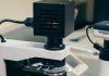 What Change Is SDTM Clinical Trials Driving? SDTM clinical trials